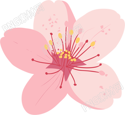 粉色櫻花商用插畫