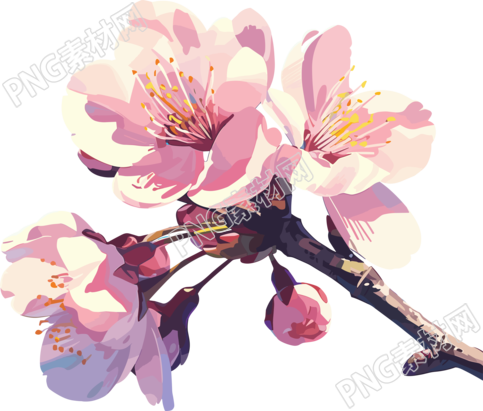 粉色樱花PNG插图