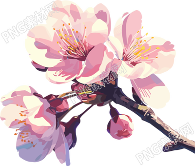 粉色櫻花PNG插圖