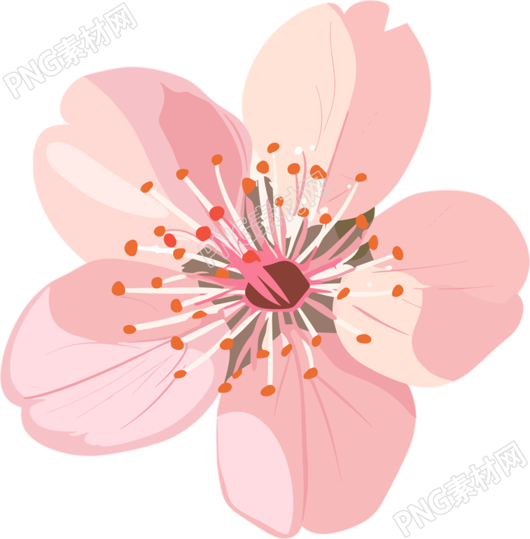 粉色樱花精美素材
