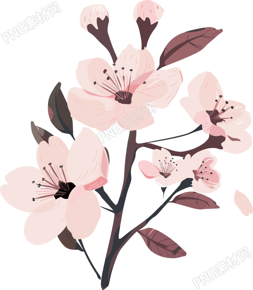 粉色樱花简约插画