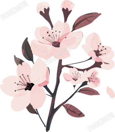 粉色櫻花簡約插畫