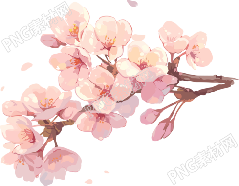 粉色樱花透明背景插画