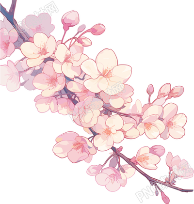 粉色櫻花商用素材