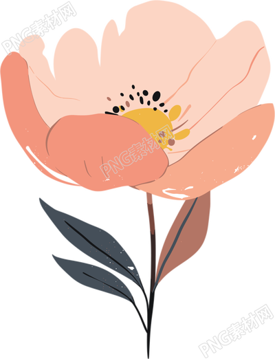 簡約花卉插畫設(shè)計(jì)元素