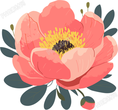 簡約花卉精美插畫