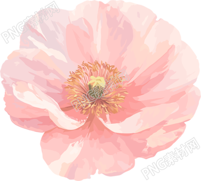 簡約花卉唯美插畫