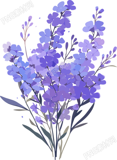 簡約花卉創(chuàng)意插畫