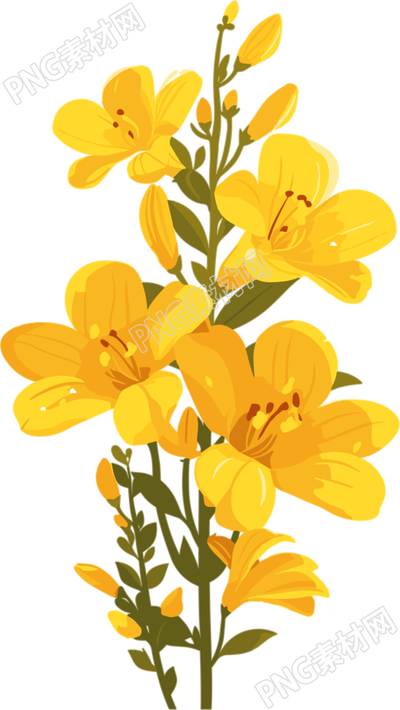 簡約花卉美麗花朵素材
