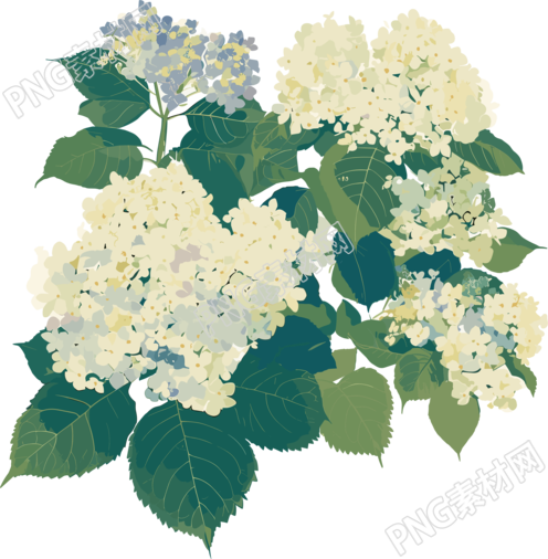 简约花卉平面插画