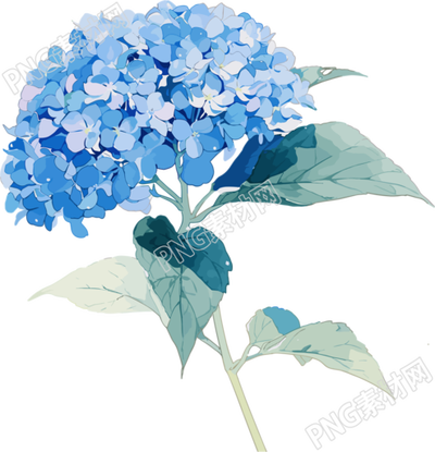 繡球花精美插圖