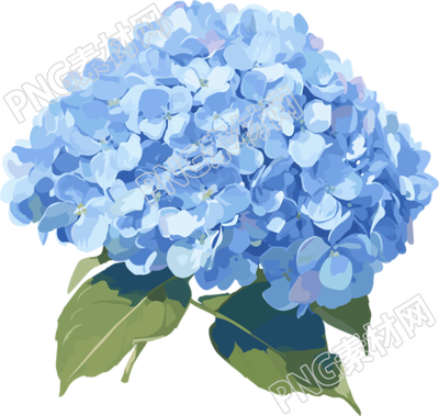 繡球花插畫元素