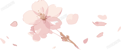 櫻花花瓣簡(jiǎn)約插圖