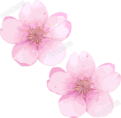 櫻花花瓣3D可商用素材