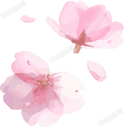 櫻花花瓣創(chuàng)意商用插畫(huà)