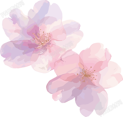櫻花花瓣水墨插圖