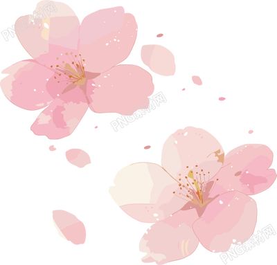 櫻花花瓣透明背景元素