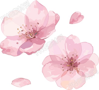 櫻花花瓣創(chuàng)意PNG素材