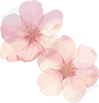 櫻花花瓣商用插圖