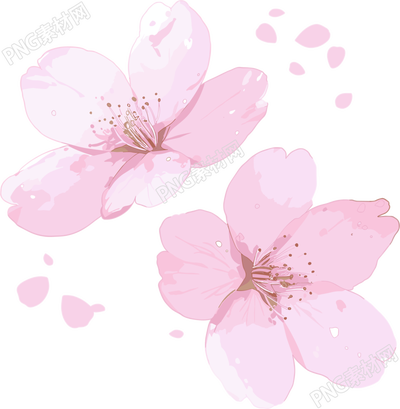 櫻花花瓣圖案素材