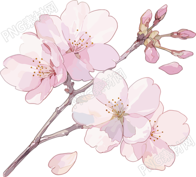 櫻花花瓣可商用插畫(huà)