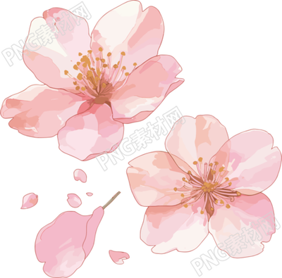 櫻花花瓣插畫(huà)設(shè)計(jì)元素