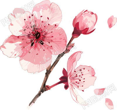 櫻花花瓣粉色插圖