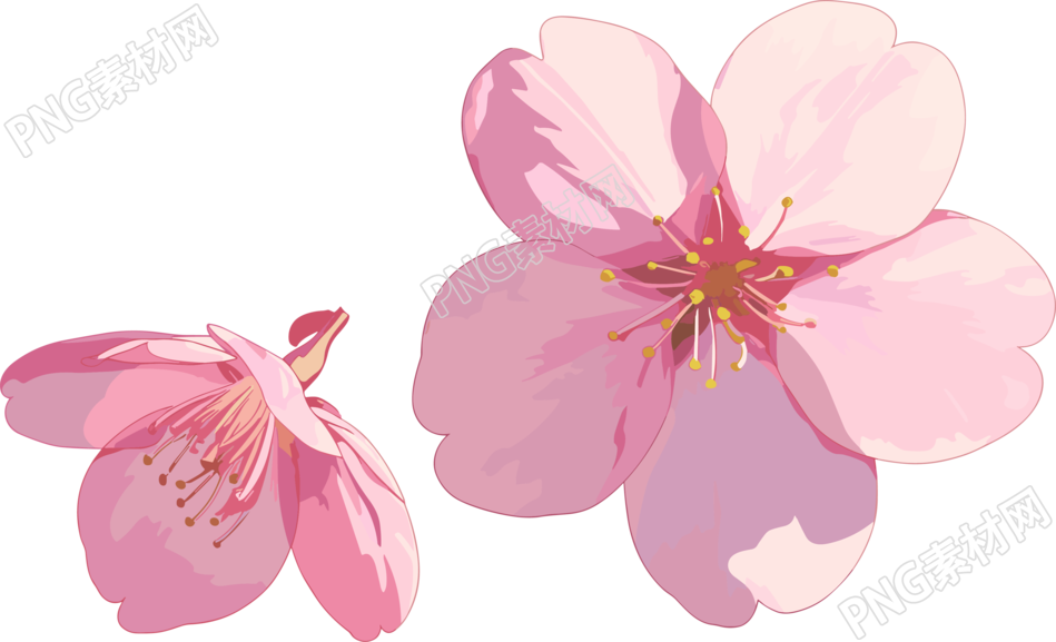 樱花花瓣图片素材