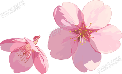 櫻花花瓣圖片素材