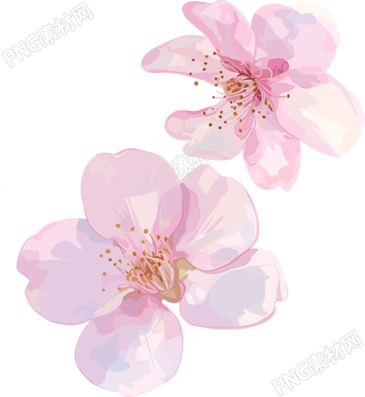 櫻花花瓣3D素材