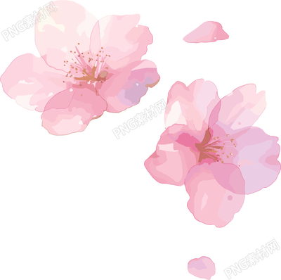 櫻花花瓣P(guān)NG素材