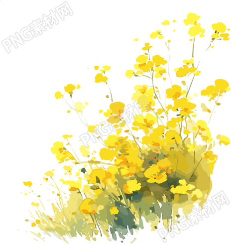 油菜花简单图案素材