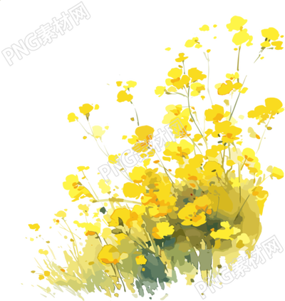 油菜花簡(jiǎn)單圖案素材