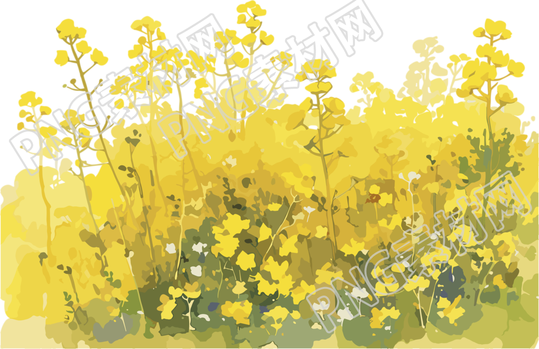 油菜花田简洁设计元素