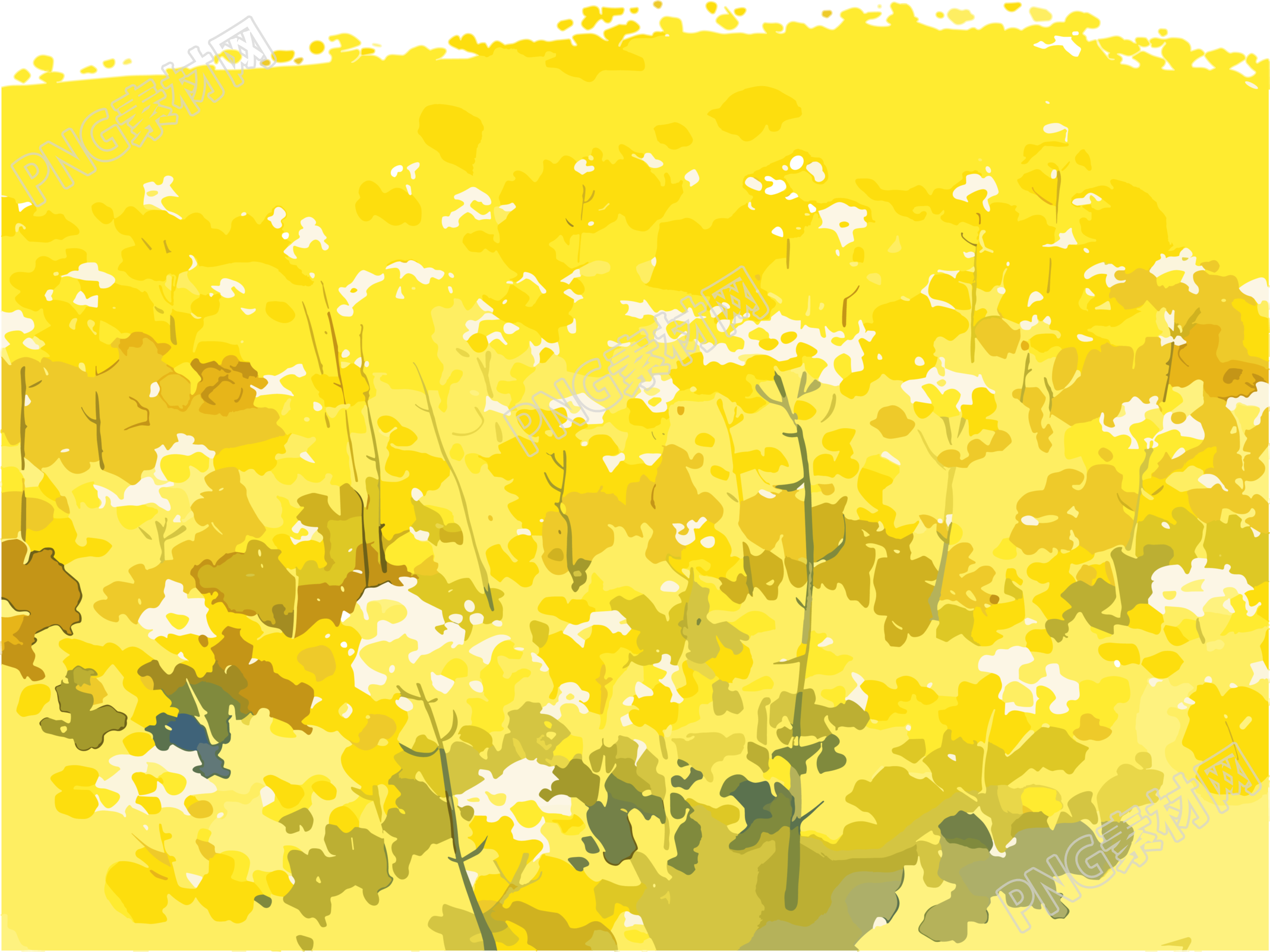 油菜花田PNG插图