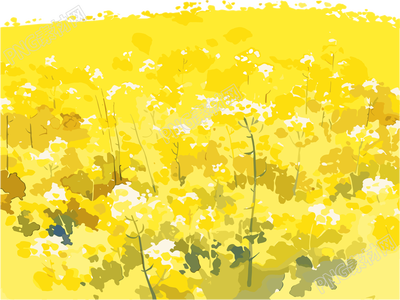 油菜花田PNG插圖