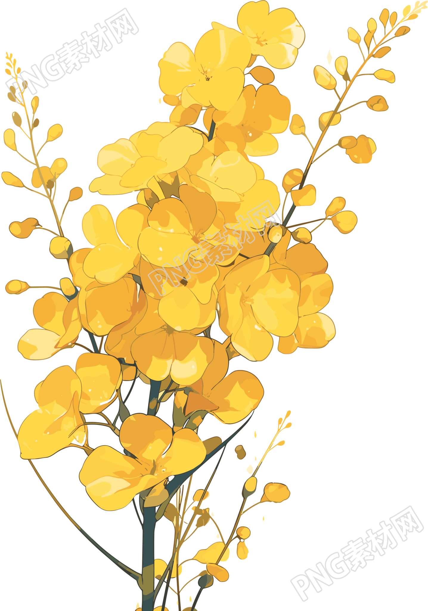 油菜花商用插画设计