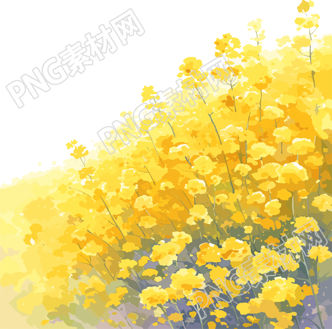 油菜花田图形素材