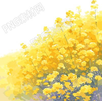 油菜花田圖形素材