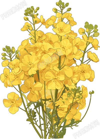 油菜花商用設(shè)計(jì)元素