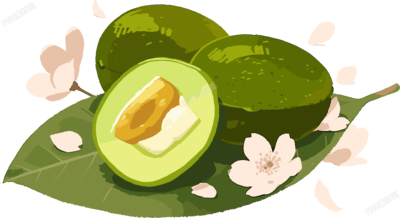青團(tuán)高清質(zhì)量插畫