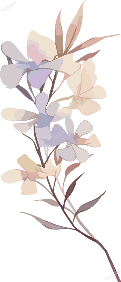 花卉貼紙手賬插畫