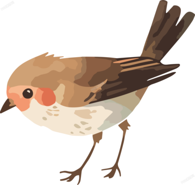 小麻雀貼紙手賬插圖