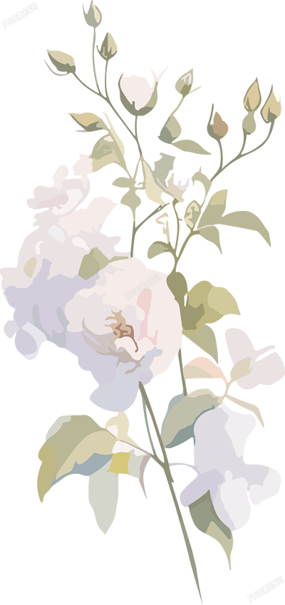 簡(jiǎn)約花卉手賬元素
