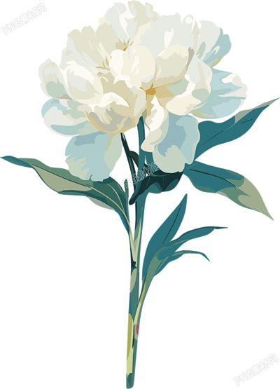 花苞透明背景插圖