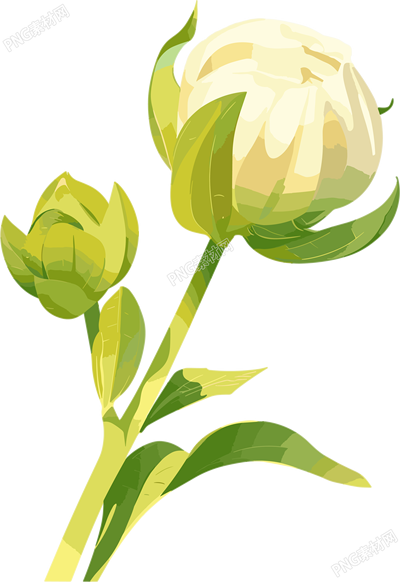 花苞嫩芽插畫