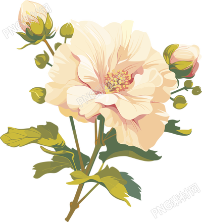 花苞高清圖形素材
