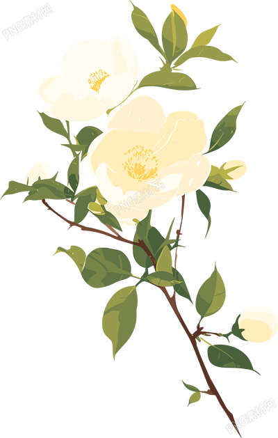 花苞圖形素材