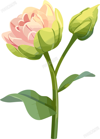 花苞可商用插圖