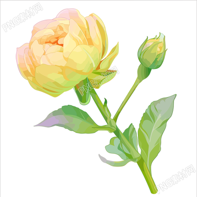 花苞簡約設(shè)計元素